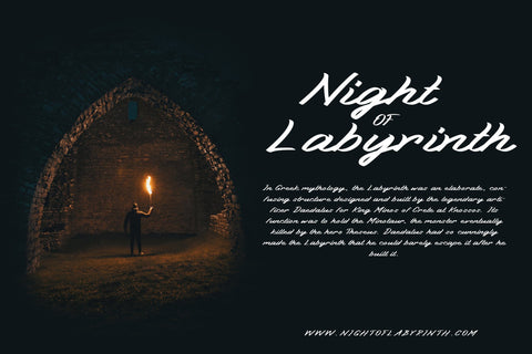 Nitecity | Modern Brush Font Font Katario Studio 