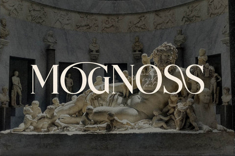 NOCTADO Typeface Font Storytype Studio 