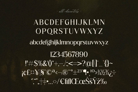 NOCTADO Typeface Font Storytype Studio 