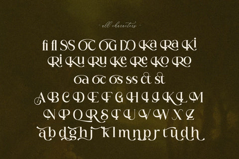 NOCTADO Typeface Font Storytype Studio 