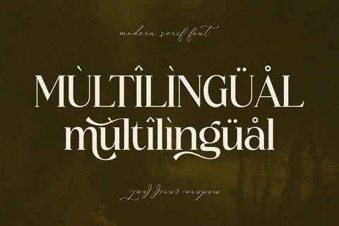 NOCTADO Typeface Font Storytype Studio 