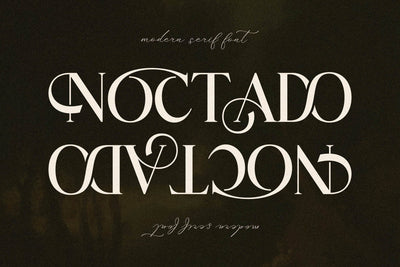 NOCTADO Typeface Font Storytype Studio 