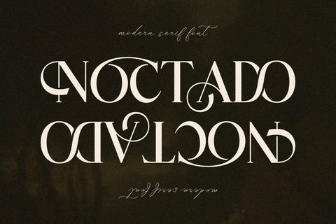 NOCTADO Typeface Font Storytype Studio 