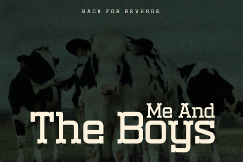 Nomaden Slab Typeface Font Storytype Studio 