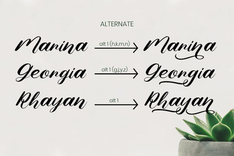 Nona Diana Font Attype studio 