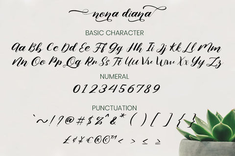 Nona Diana Font Attype studio 