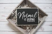 Normal Is Boring SVG SVG RedFoxDesignsUS 
