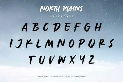 North Plains - Rough Brush Font Font Alpaprana Studio 