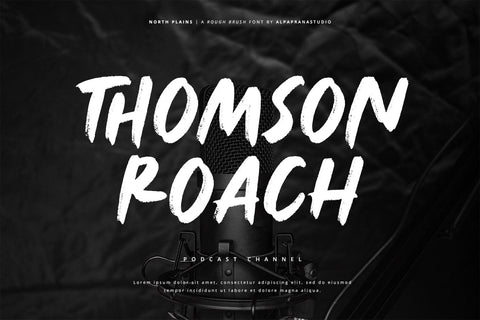 North Plains - Rough Brush Font Font Alpaprana Studio 