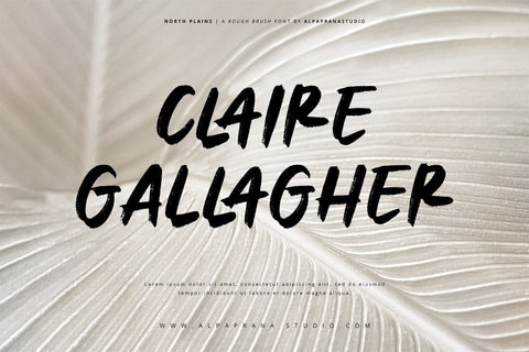 North Plains - Rough Brush Font Font Alpaprana Studio 