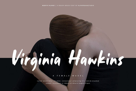 North Plains - Rough Brush Font Font Alpaprana Studio 