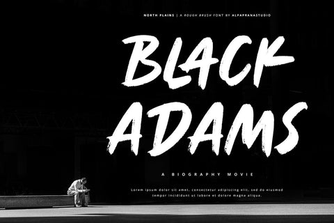 North Plains - Rough Brush Font Font Alpaprana Studio 