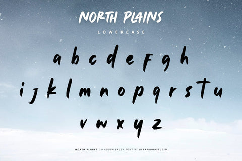 North Plains - Rough Brush Font Font Alpaprana Studio 