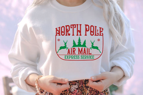 North pole air mail express service SVG SVG DESIGNISTIC 