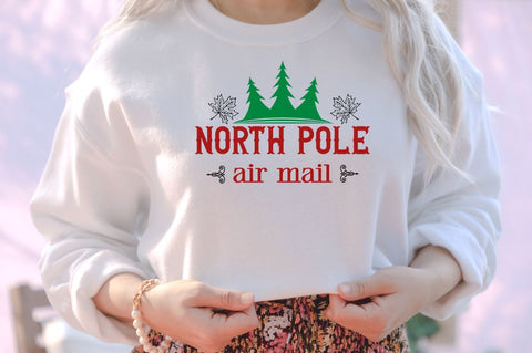 North pole air mail SVG SVG DESIGNISTIC 