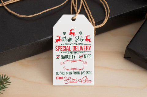 North pole special delivery naughty SVG Design SVG Regulrcrative 