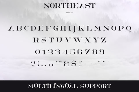 NorthEast - 4 serif fonts Font VPcreativeshop 