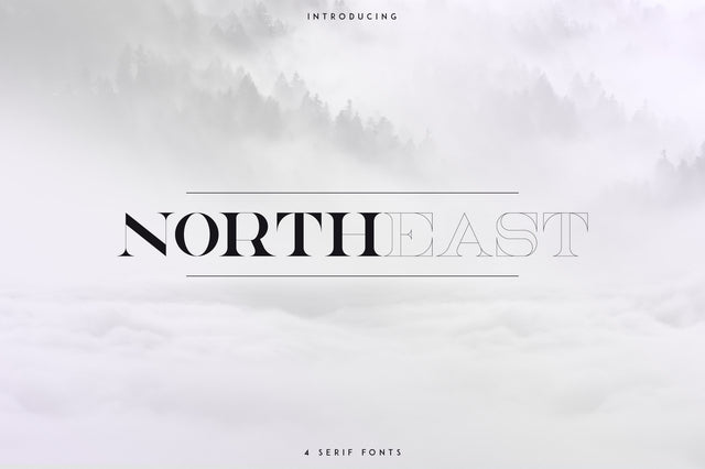 NorthEast - 4 serif fonts Font VPcreativeshop 