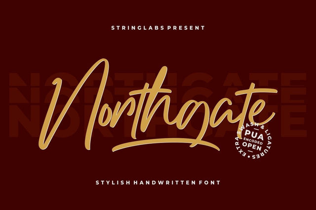 Northgate - Stylish Handwritten Font Font StringLabs 