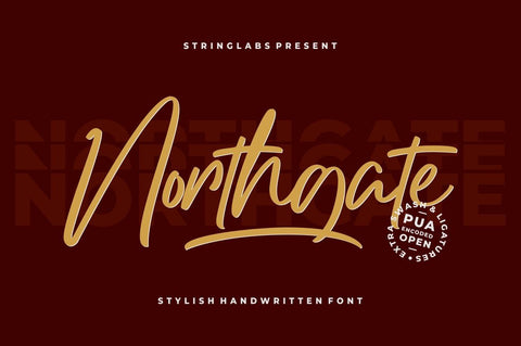 Northgate - Stylish Handwritten Font Font StringLabs 