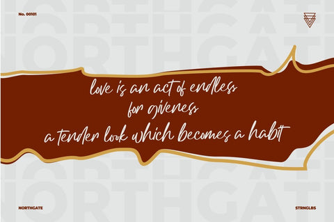 Northgate - Stylish Handwritten Font Font StringLabs 