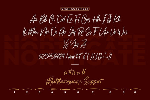 Northgate - Stylish Handwritten Font Font StringLabs 