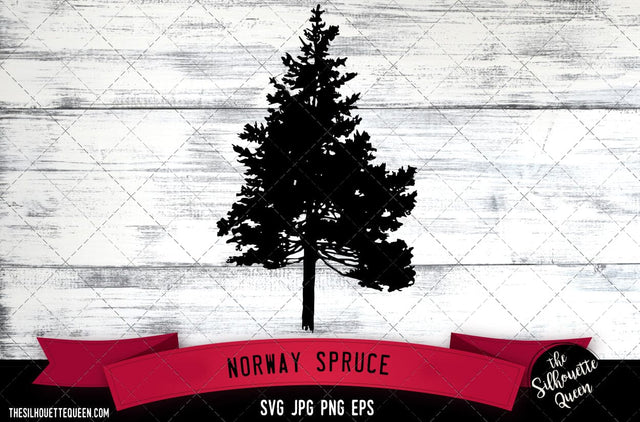 Norway Spruce SVG -Vector Art Commercial & Personal Use- Cricut,Silhouette,Cameo,Vinyl Cut SVG Loveleen Kaur 