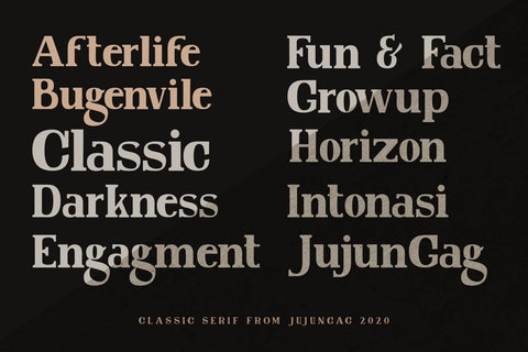 Norwegia Classic serif font Font nearzz 