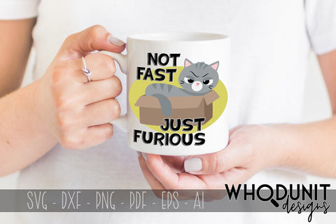 Not Fast, Just Furious SVG | Cat SVG SVG Whodunit Designs 