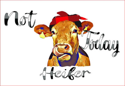 Not Today Heifer Graphic, sublimation graphics Sublimation sublimationhappy 