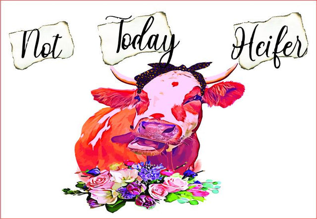 Not Today Heifer PNG, Cow Sublimation Sublimation sublimationhappy 
