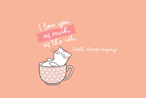 Not Very Humdrum Font Cotton White Studio 