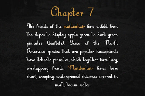 Nottingshire | Modern Serif Font Font Katario Studio 