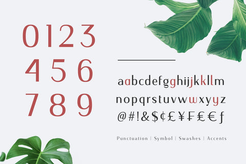 Nourishe Font Arterfak Project 