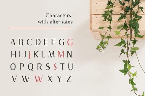 Nourishe Font Arterfak Project 