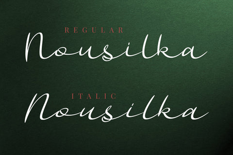 Nousilka | Modern Bouncy Script Font Font Katario Studio 