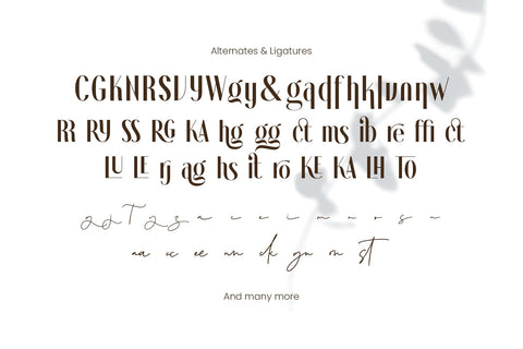 Novita Signora - Font Duo Font Arterfak Project 