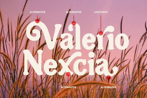 NugiaVintage Font Font toni_std 