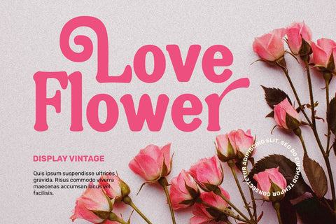 NugiaVintage Font Font toni_std 