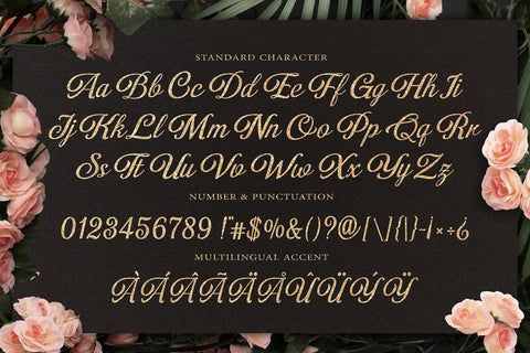 Numberlin Ordinary Font Graphicxell 