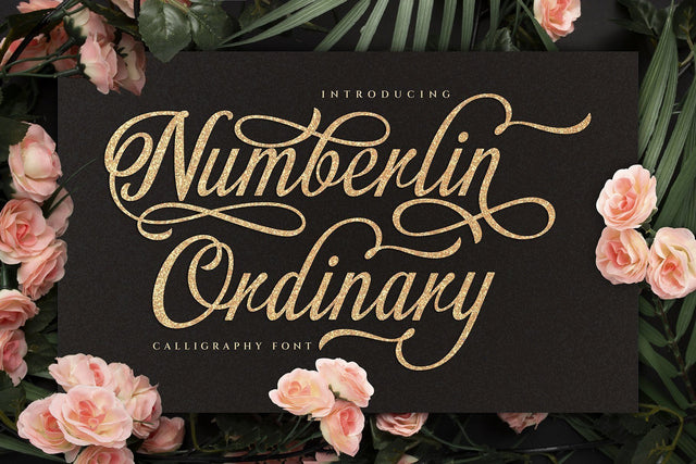 Numberlin Ordinary Font Graphicxell 