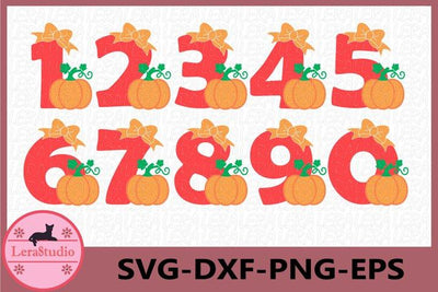 Numbers Pumpkin SVG SVG Lerastudio 