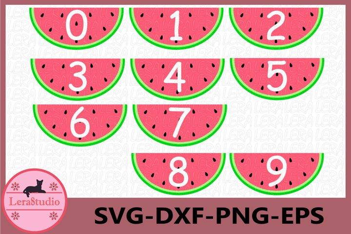 Numbers Summer SVG - So Fontsy