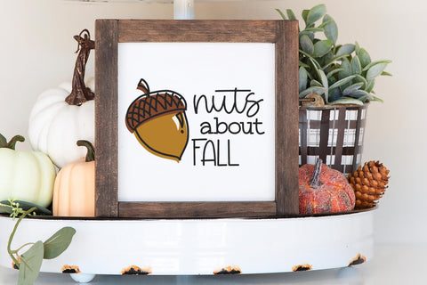 Nuts about Fall SVG, Cute Acorn PNG, Autumn Tshirt SVG Designing Digitals 