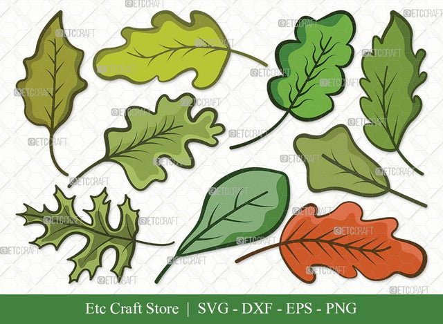 Oak Leaves Clipart SVG Cut File | Oak Leafs Svg | Fall Leaves Svg | Leaves Svg | Bundle | Eps | Dxf | Png SVG ETC Craft 