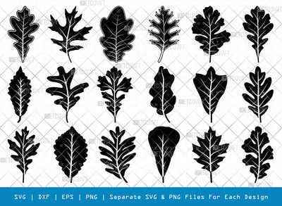 Oak Leaves SVG Cut Files | Oak Leaves Silhouette | Leaf Svg | Foliage Svg | Autumn Svg | Fall Leaves Svg | Oak Leaves Bundle SVG ETC Craft 