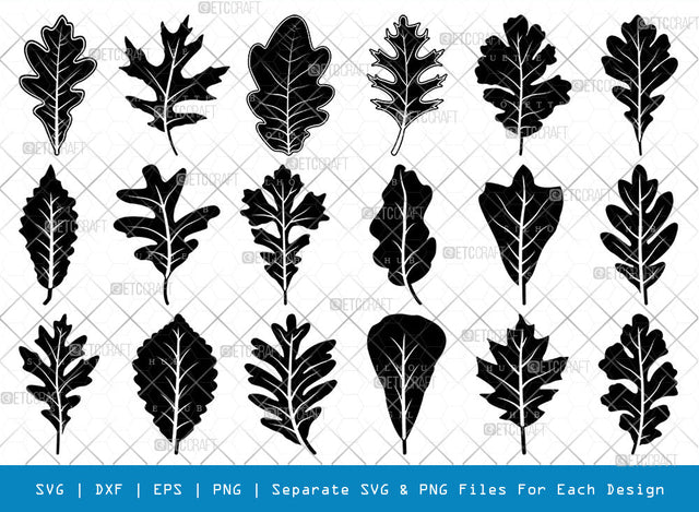 Oak Leaves SVG Cut Files | Oak Leaves Silhouette | Leaf Svg | Foliage Svg | Autumn Svg | Fall Leaves Svg | Oak Leaves Bundle SVG ETC Craft 