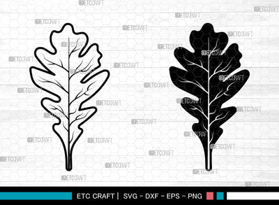 Oak Leaves Svg, Fall Leaves Svg, Leaves Svg, Oak Leaves Icon Svg, Leaf Svg, Oak Leaves SVG ETC Craft 