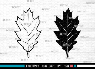 Oak Leaves Svg, Fall Leaves Svg, Leaves Svg, Oak Leaves Icon Svg, Leaf Svg, Oak Leaves SVG ETC Craft 