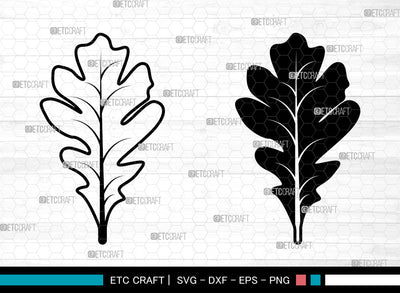 Oak Leaves Svg, Fall Leaves Svg, Leaves Svg, Oak Leaves Icon Svg, Leaf Svg, Oak Leaves SVG ETC Craft 
